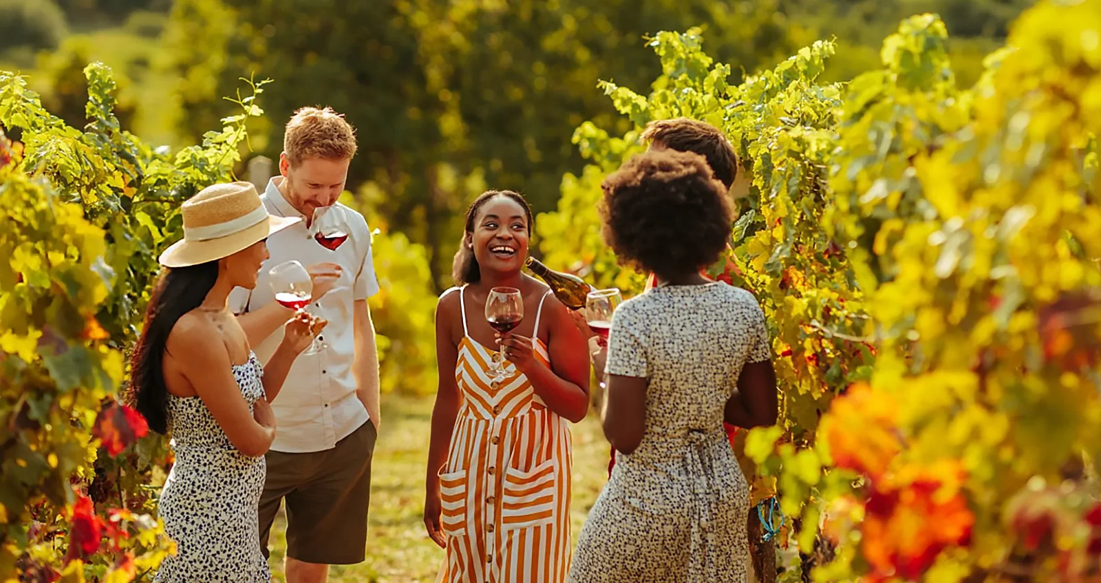 Dégustation & visite