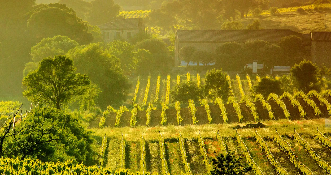 Le Château Ollieux Romanis est le cœur œnotouristique d’Artisans Partisans