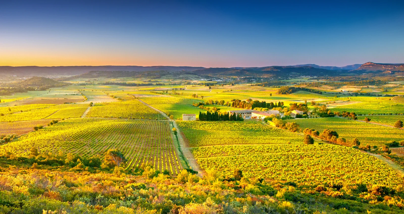 Le Château Ollieux Romanis, c’est bien plus qu’un domaine viticole